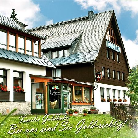 Ferienhotel Muehlleithen Klingenthal Eksteriør bilde