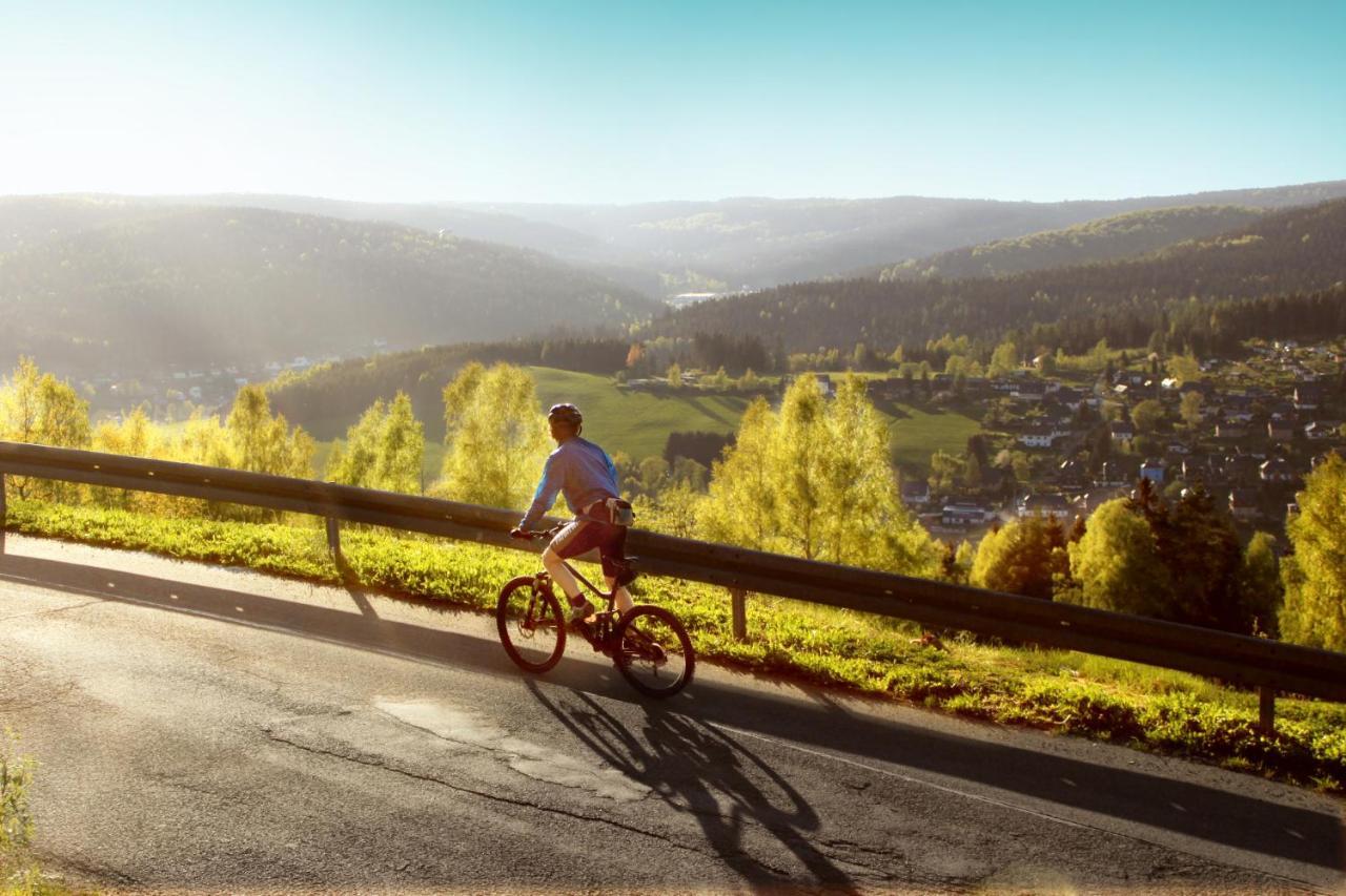 Ferienhotel Muehlleithen Klingenthal Eksteriør bilde