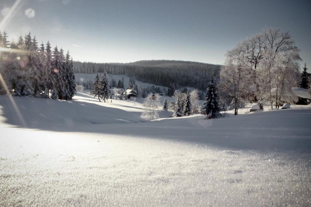 Ferienhotel Muehlleithen Klingenthal Eksteriør bilde