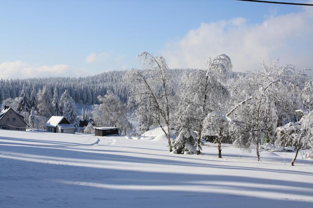 Ferienhotel Muehlleithen Klingenthal Eksteriør bilde
