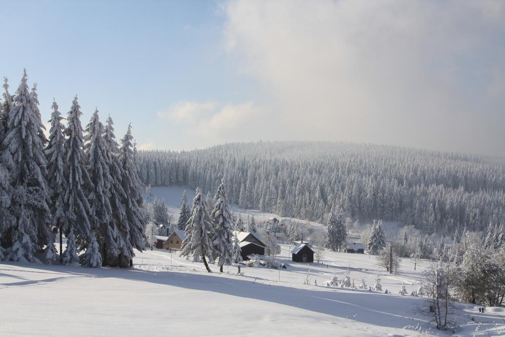 Ferienhotel Muehlleithen Klingenthal Eksteriør bilde
