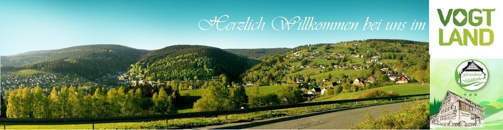 Ferienhotel Muehlleithen Klingenthal Eksteriør bilde